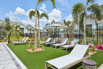 A sunny day at the outdoor lounge with palm trees and chairs.